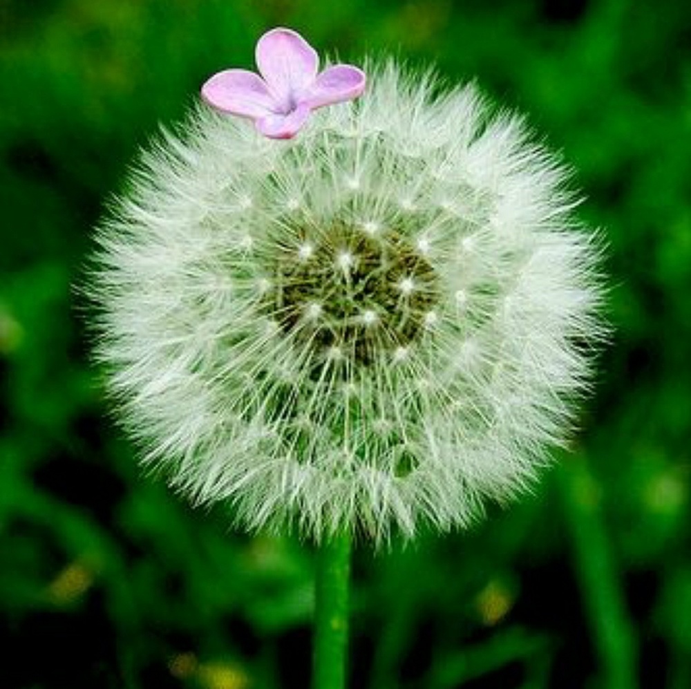 Meet your Posher, Mel